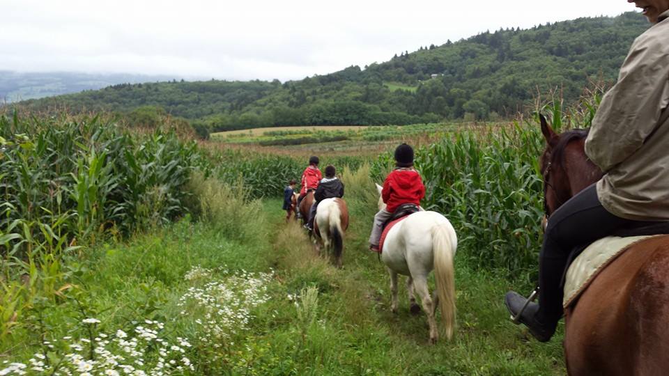 Balade et Randonnée a cheval Bourg-en-Bresse